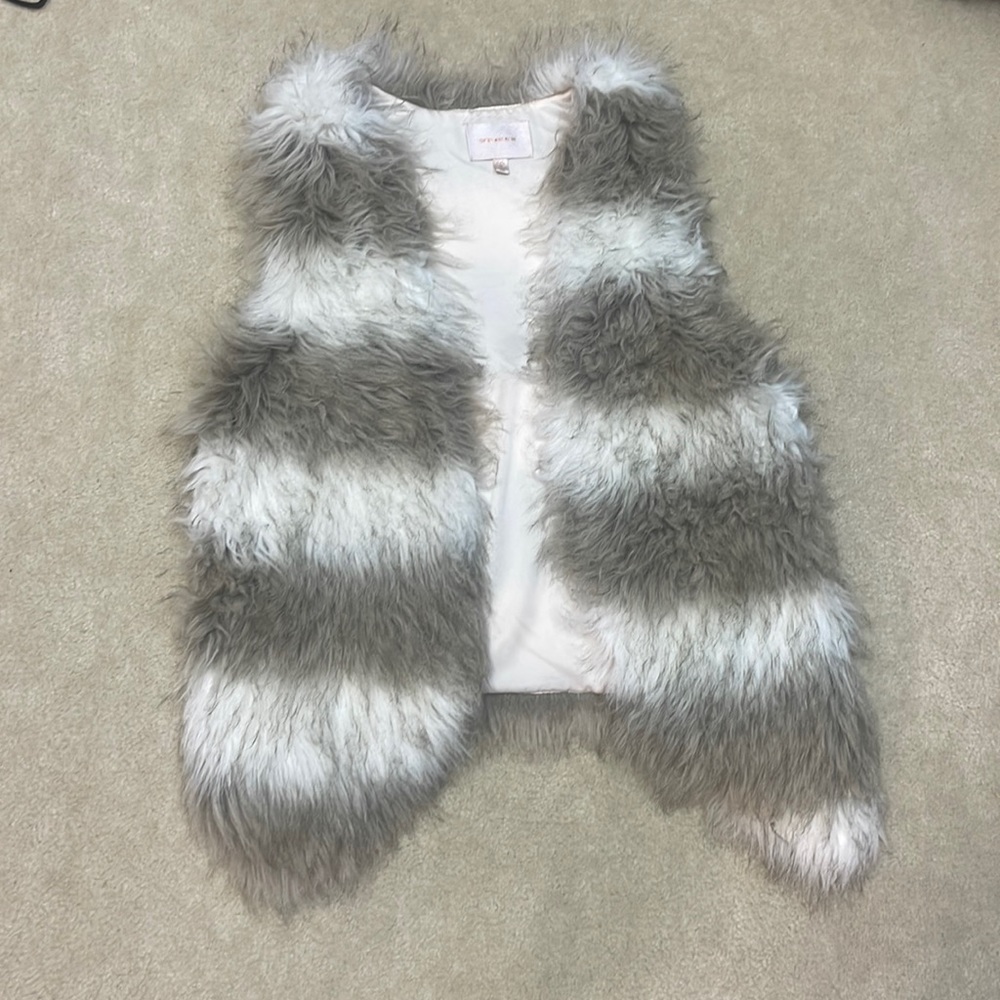 Skies Are Blue Vest